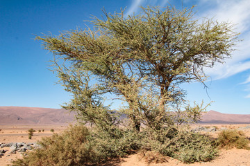 Natur Aufnahmen, W&uuml;stenbilder, Dessert, Architektur und Geb&auml;ude in Africa