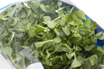 insalata tipo valeriana imbustata