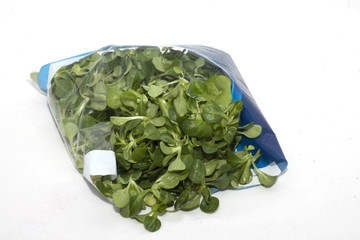 insalata tipo valeriana imbustata