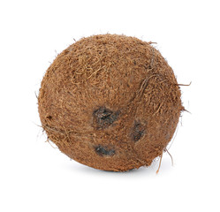 Ripe coconut on white background