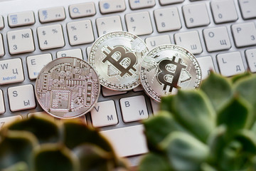 Silver bitcoin coins on the white keyboard and green leaf of Monstera. Close up. Bitcoin up. Red big arrow and Cryptocurrency.
