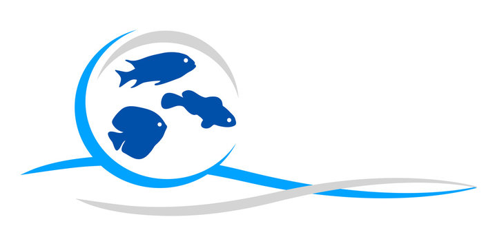 Fische - 27
