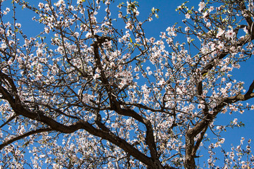 Natur Aufnahmen, Wüstenbilder, Dessert, Architektur und Gebäude in Africa