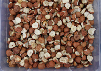 Hazelnuts. Peeled Raw Hazelnuts. Fresh organic Nuts. Raw nuts. Hazelnuts background 