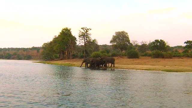 Chobe National Park, famous wildlife reserve and upscale travel destination. 