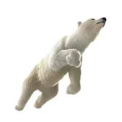 Foto op Canvas Large male Polar bear swimming on a white. 3D illustration © 2dmolier