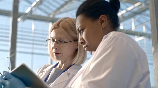 PAN of concentrated blond woman in lab coat and glasses holding test tube with soil sample and green seedling and discussing it with female African agronomist typing on tablet