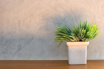 Little artificial tree in white ceramic pot with grey cement wall in the background is used for home decoration. 