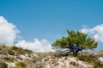 Obraz premium Landscape with summer steppe and cloudy sky in Donbass region of Ukraine