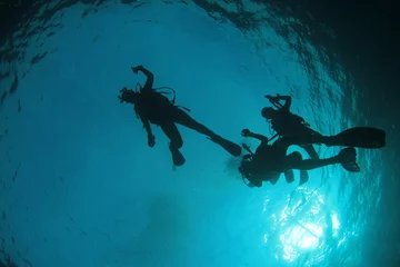 Cercles muraux Plonger Plongée sous-marine