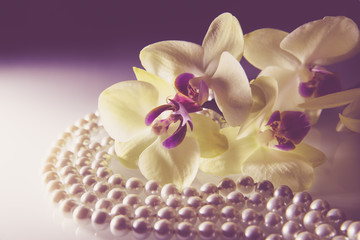 Fototapeta na wymiar pearl and yellow orchid on a white glass 