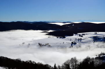 Sonne und Nebel auf dem Schauinsland