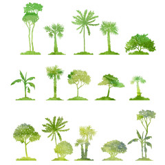 watercolor set of deciduous trees