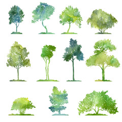 watercolor set of deciduous trees - obrazy, fototapety, plakaty