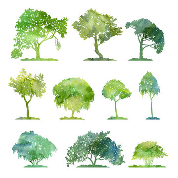 watercolor set of deciduous trees