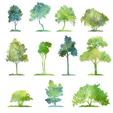 watercolor set of deciduous trees