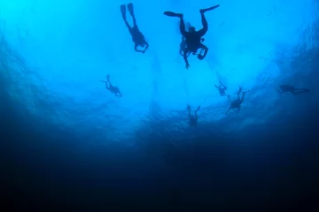 Rolgordijnen Scuba dive. Diving in ocean. Scuba divers explore coral reef © Richard Carey
