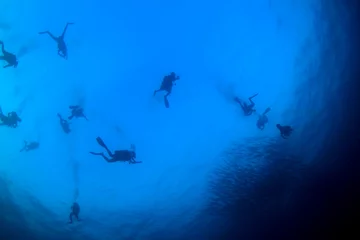 Fototapete Scuba dive. Diving in ocean. Scuba divers explore coral reef © Richard Carey