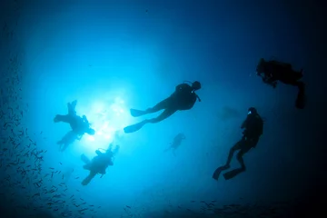 Fotobehang Scuba dive. Diving in ocean. Scuba divers explore coral reef © Richard Carey