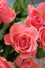 Bouquet de roses rose