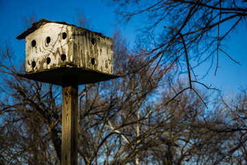 Bird House On Pole