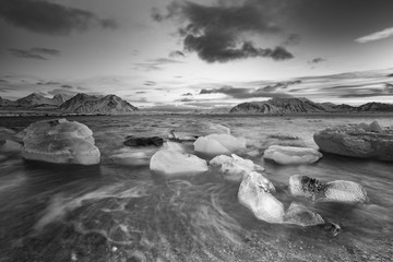 Jesienna plaża na Spitsbergenie - obrazy, fototapety, plakaty