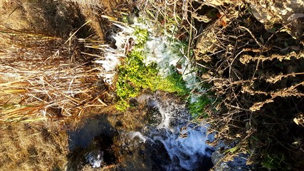 Hielo