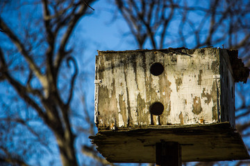 Looking up at bird house 