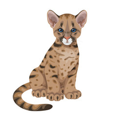 Obraz premium Cougar Cub Isolated