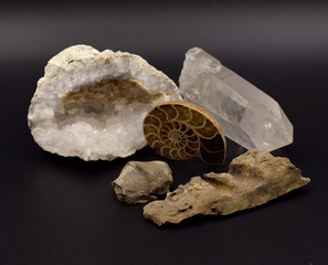 Fossils and Gems on Black Background