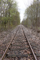 Altes Gleis bei Wünsdorf