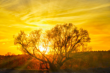 Fototapeta premium Sunset in clouds