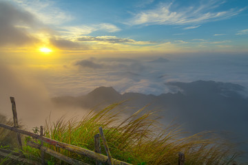 Beautiful Landscape and the Mist in the Morning at Chiangrai Thailand

