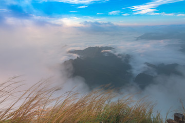 Beautiful Landscape and the Mist in the Morning at Chiangrai Thailand

