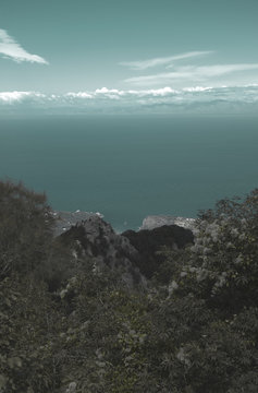 Ischia Island View