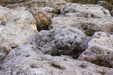 Texture of rough stones in the beach