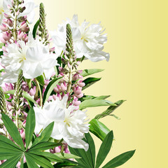 Fototapeta na wymiar Beautiful floral background lupines and peonies 