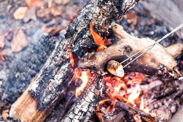 Closeup of one white marshmallow caramelizing on fire showing detail and texture by campground campfire grill in outdoor park with flame, smoke