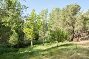 Obraz premium The high tajo natural park in Guadalajara