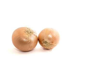 Isolated onion on white