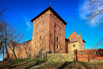 Fototapeta na wymiar Nidzica - Gotycki zamek krzyżacki