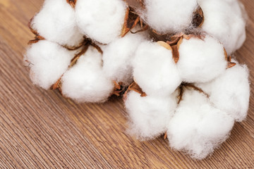 Spa concept. Fluffy cotton flowers on natural rustic wooden background. Natural fon with copy space.