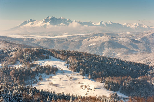 Fototapeta Zima w Beskidzie Sądeckim ,szlak turystyczny z Jaworzyny Krynickiej do Bacówki nad Wierchomlą