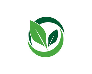 tree leaf logo template