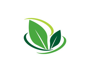 Fototapeta na wymiar tree leaf logo template
