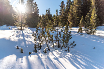 montagne d'inverno con neve