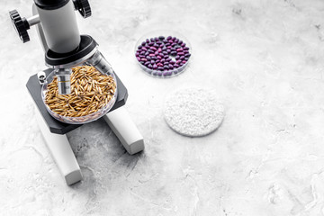 Food analysis. Wheat under the microscope on grey background copyspace
