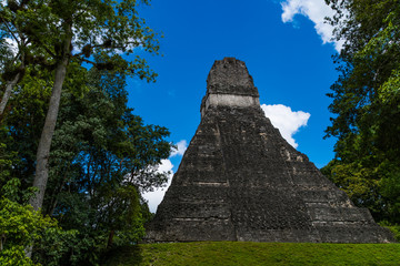 Fototapeta na wymiar Various Details of the Ruins of Tikal 