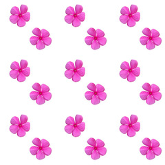 Colorful beautiful naturalistic Pink flower. Seamless pattern. V