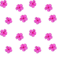 Colorful beautiful naturalistic Pink flower. Seamless pattern. V